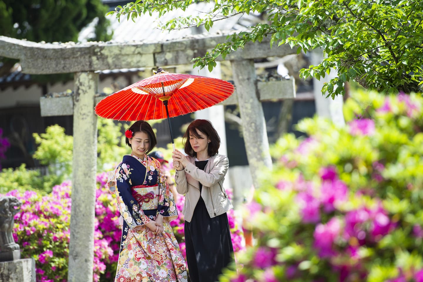 吉備津神社 七五三